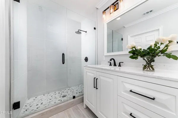a bathroom with a sink a mirror a potted plant and a shower