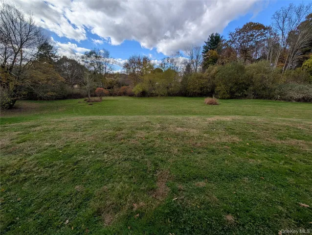 a view of a field of grass and trees