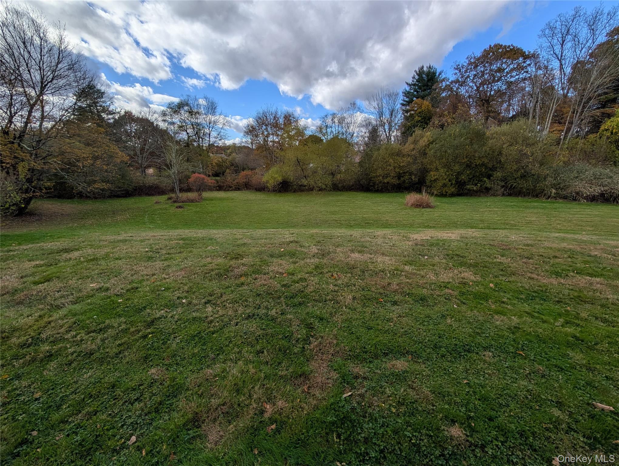 5 Equestrian Acres Lane Brewster, NY 10509 - Photo 8 of 50 a view of a field of grass and trees