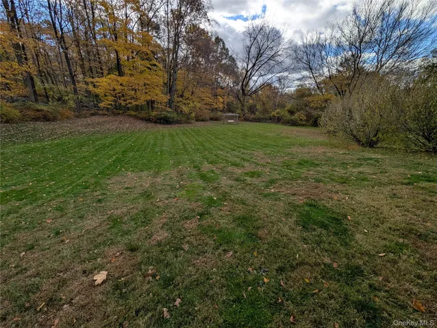 a view of a field of grass and trees