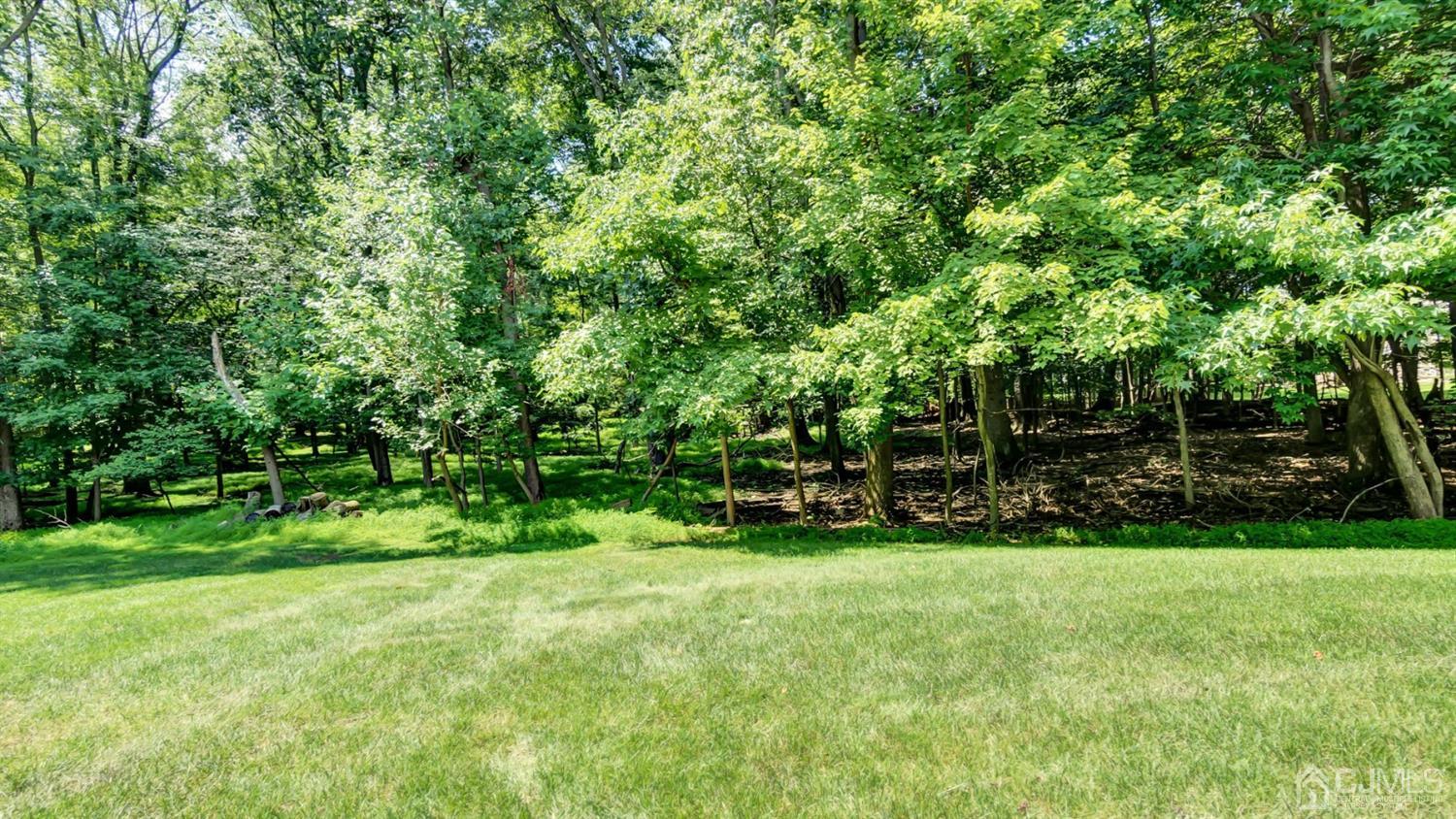 3404 Springbrook Drive Edison, NJ 08820 - Photo 32 of 32 a view of a green field