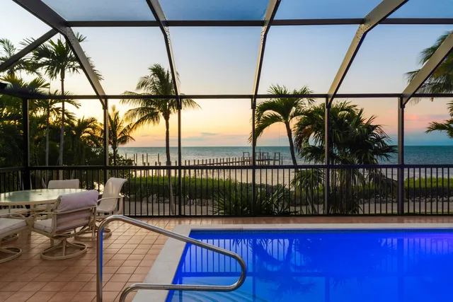 a row of palm trees and a backyard of a house