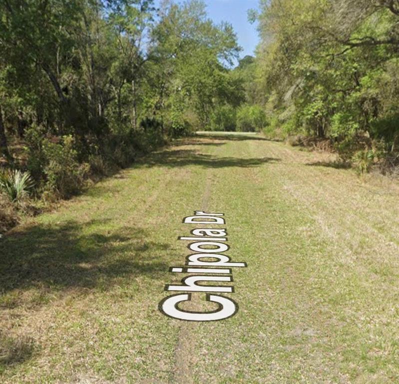 106 Chipola Drive Georgetown, FL 32139 - Photo 3 of 8
