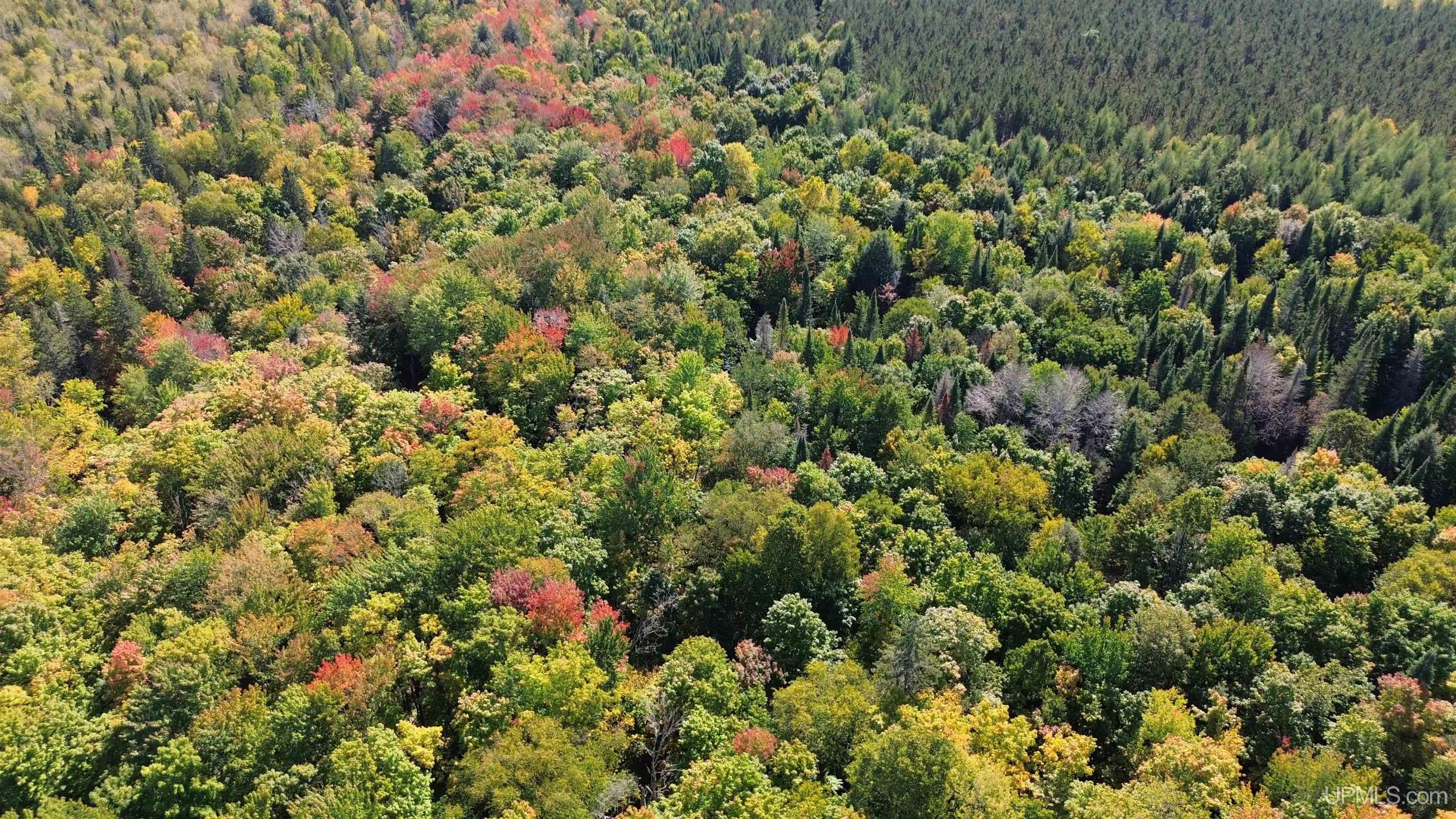 Off Usfs Trail, Unit 2440 Wetmore, MI 49895 - Photo 29 of 34