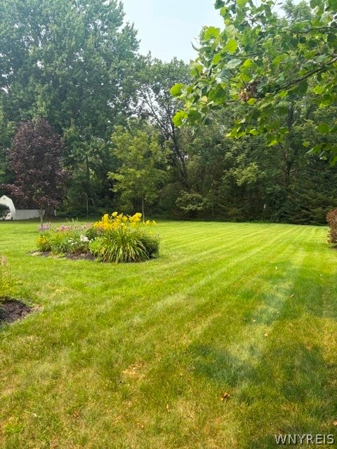 2479 Parker Road Porter, NY 14131 - Photo 40 of 42