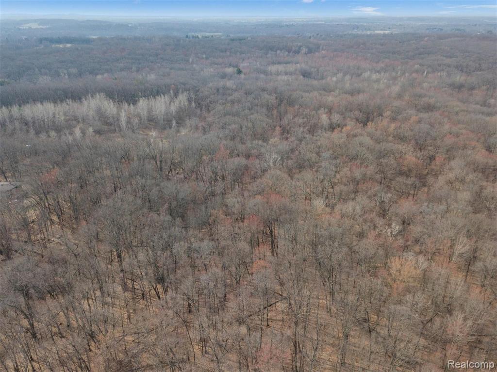 0 Bullard Road Fenton, MI 48430 - Photo 2 of 10