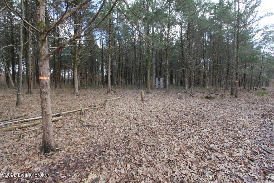 2001 Ashby Road Lawrenceburg, KY 40342 - Photo 10 of 17 IMG_4026 (Medium)