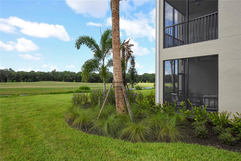 17810 Gawthrop Drive, Unit 101 Lakewood Ranch, FL 34211 - Photo 27 of 53 a view of a garden