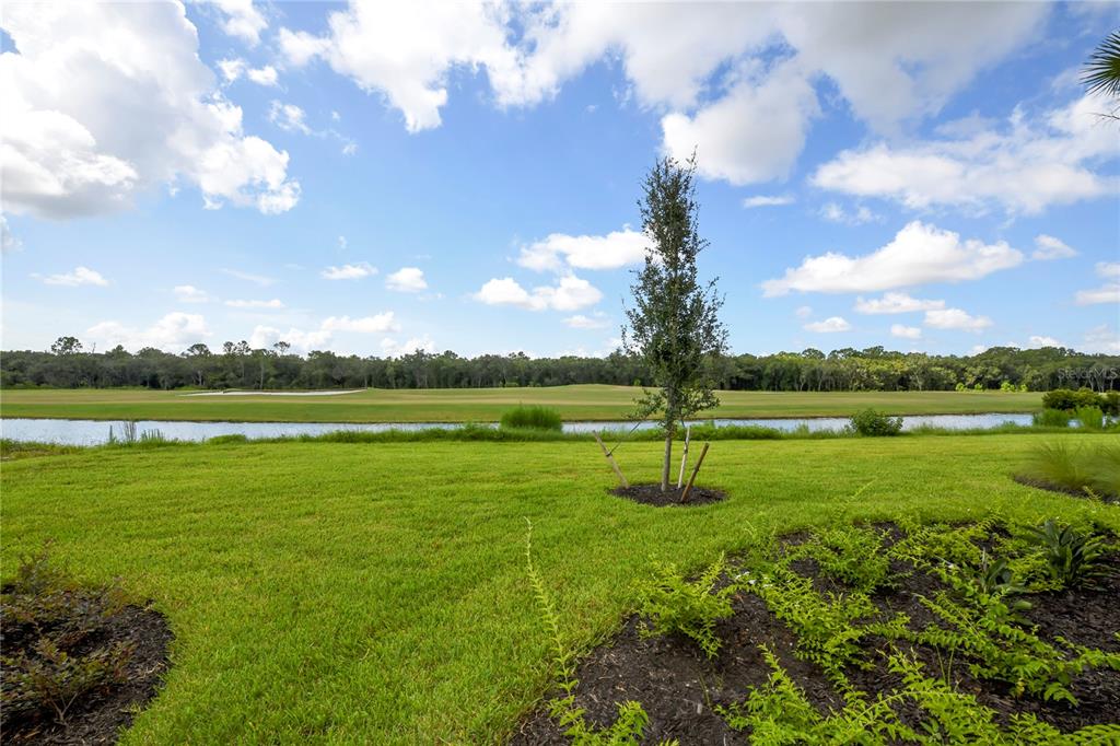 17810 Gawthrop Drive, Unit 101 Lakewood Ranch, FL 34211 - Photo 29 of 53 a view of a lake with a big yard