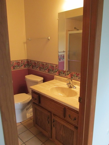 708 South Cooper Road New Lenox, IL 60451 - Photo 11 of 24 a bathroom with a sink and a mirror