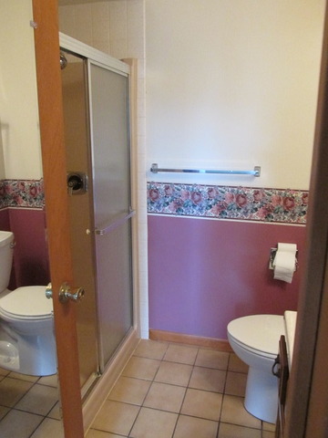 708 South Cooper Road New Lenox, IL 60451 - Photo 12 of 24 a bathroom with a toilet a sink and shower