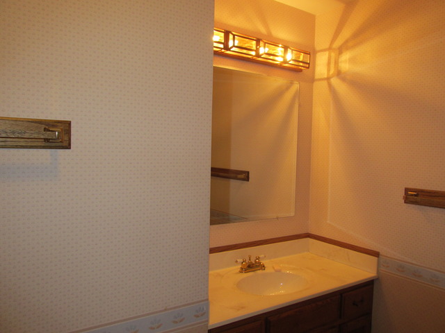 708 South Cooper Road New Lenox, IL 60451 - Photo 15 of 24 a bathroom with a sink and a shower