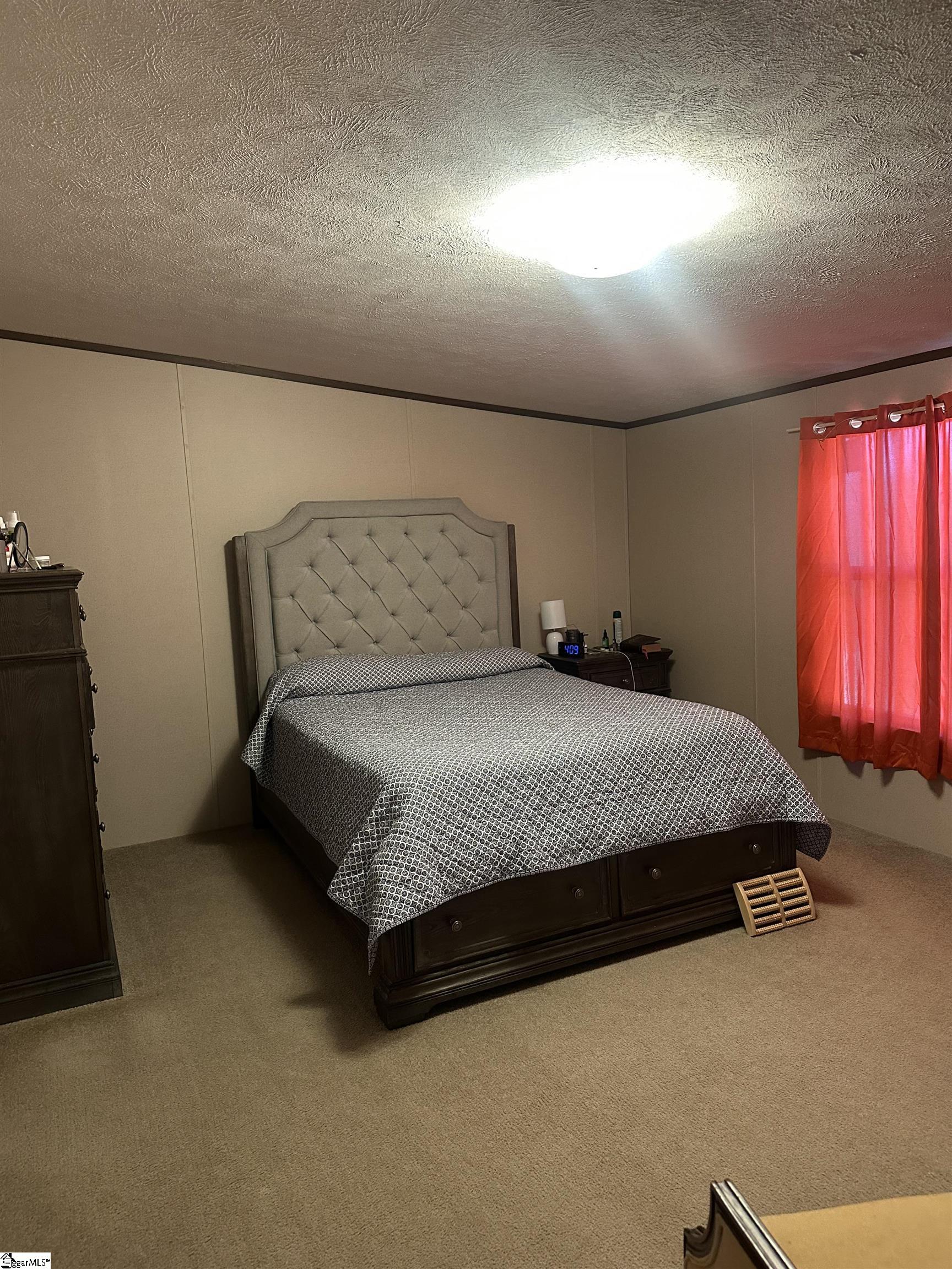 341 Pine Hills Road Woodruff, SC 29388 - Photo 4 of 11