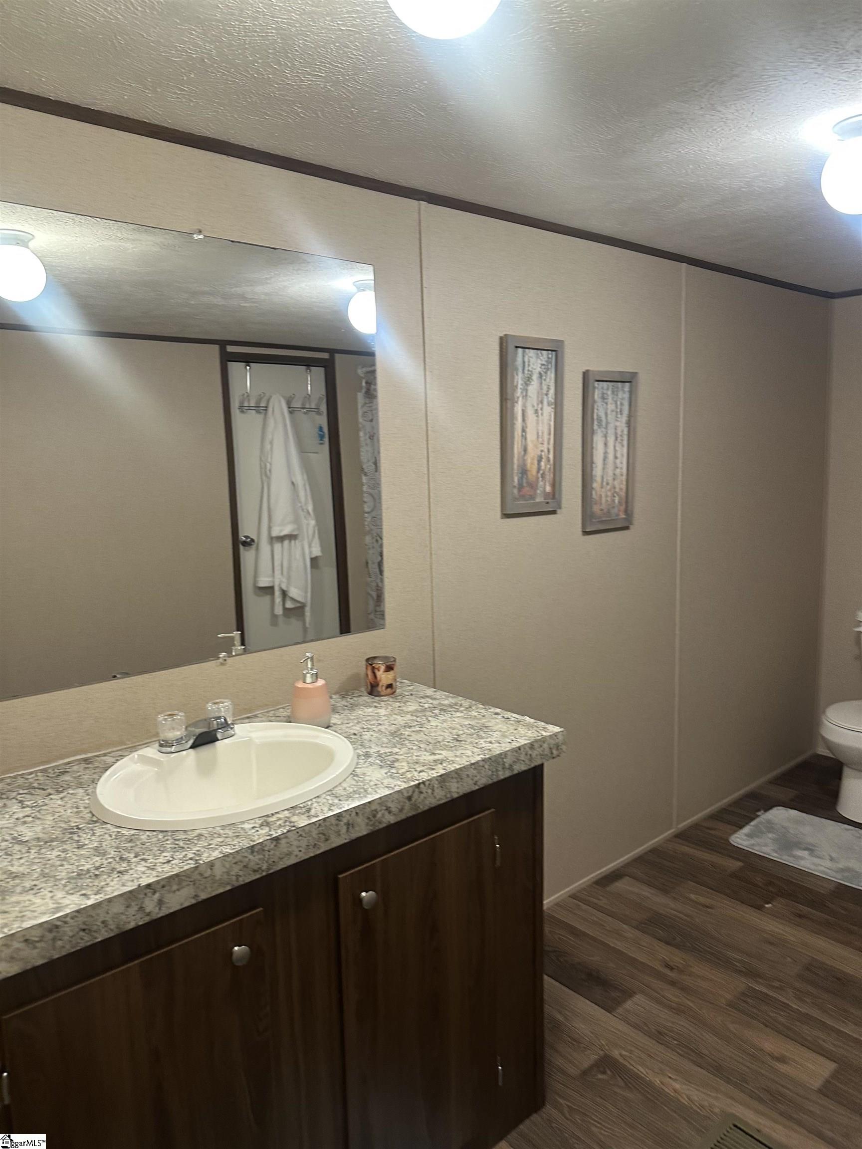 341 Pine Hills Road Woodruff, SC 29388 - Photo 6 of 11