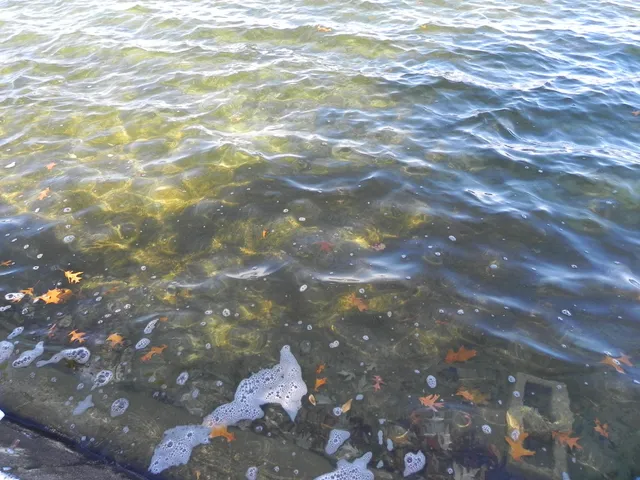 $360,000 | 27304 Oak Drive, Sturgis, MI 49091