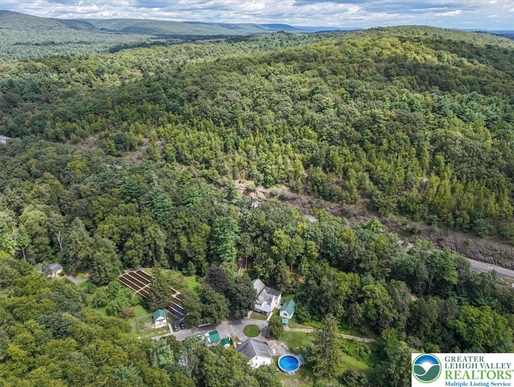 3585 Fairyland Road Lehighton, PA 18235 - Photo 57 of 67 a view of a yard with a tree