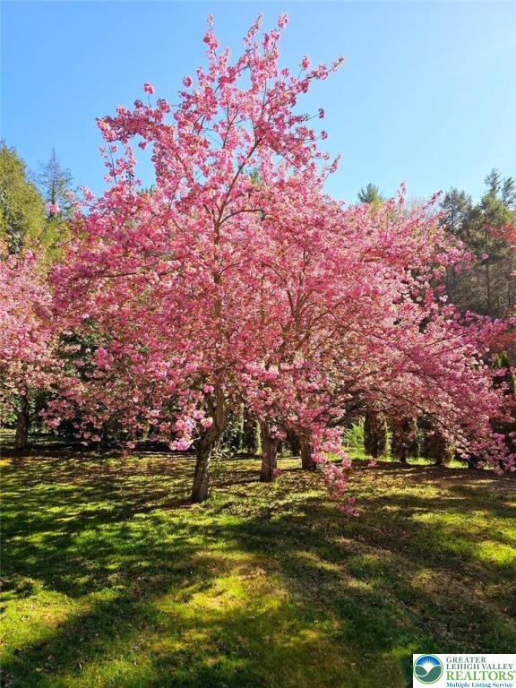 3585 Fairyland Road Lehighton, PA 18235 - Photo 63 of 67 a front view of a house with a yard