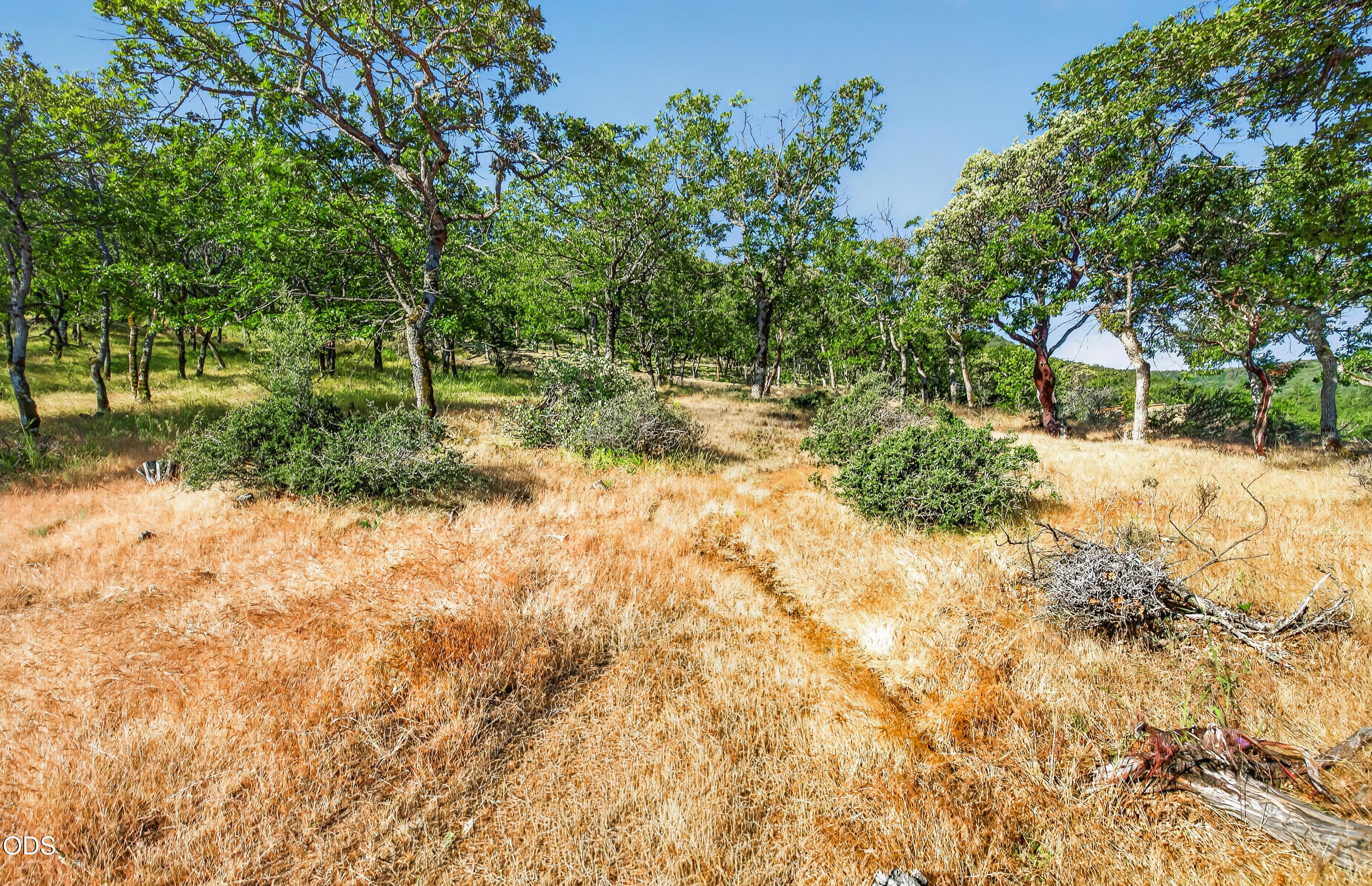 163 Hitt Road Ashland, OR 97520 - Photo 5 of 19
