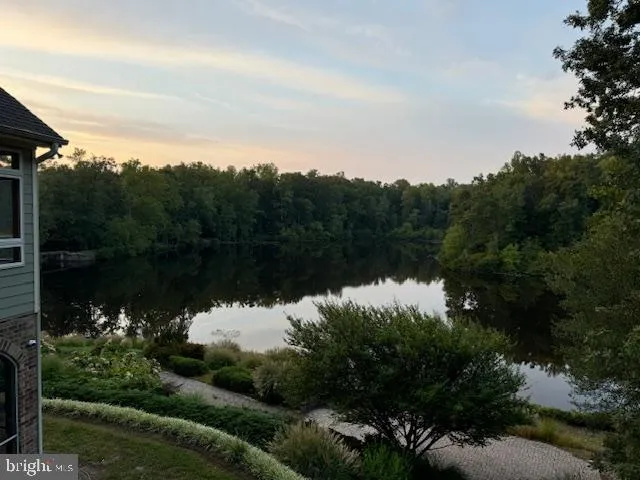 a tree lined with flowers and trees