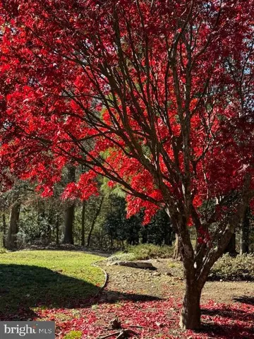 a front view of a house with a tree