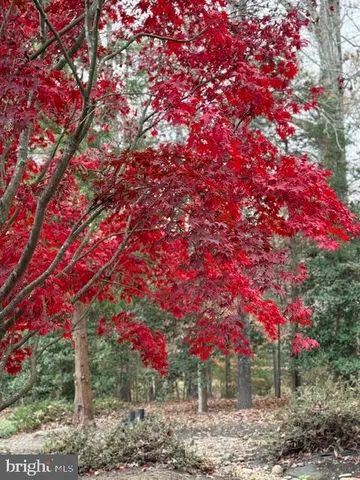 a view of lake with green landscape