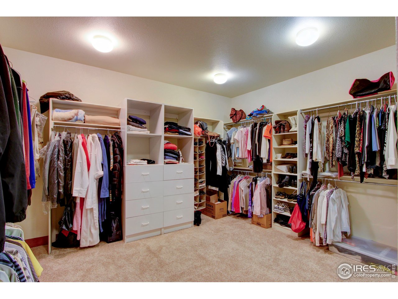 7848 Eagle Ranch Road Fort Collins, CO 80528 - Photo 22 of 46 a view of walk in closet with clothes