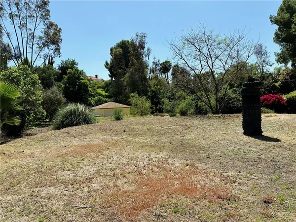 a street view with a pathway