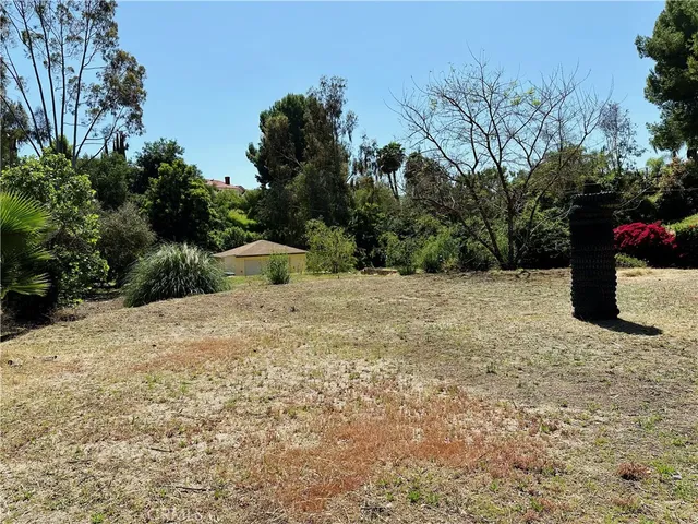 a street view with a pathway