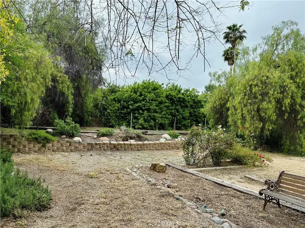 a view of a yard with plants and trees