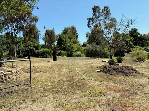 a view of outdoor space with trees