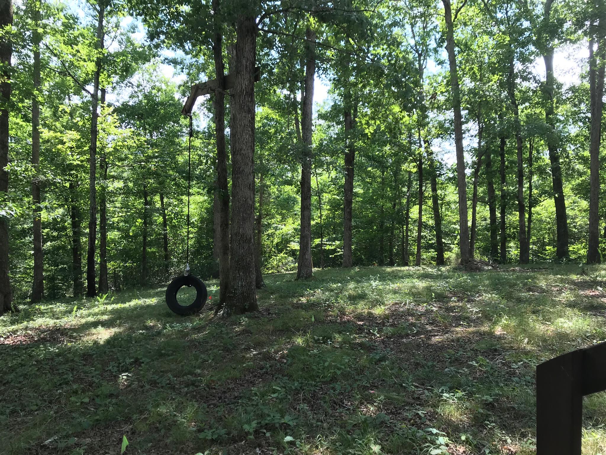 524 Sam Hollow Road Dickson, TN 37055 - Photo 4 of 13 a view of a forest