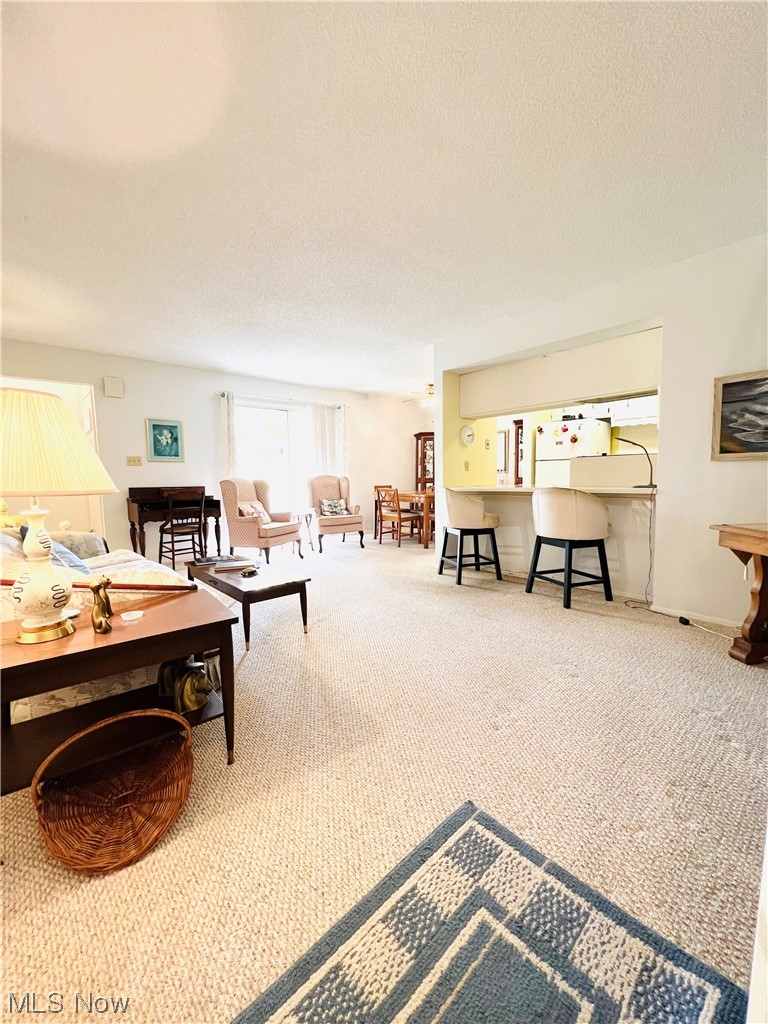 4940 Friar Road, Unit B Stow, OH 44224 - Photo 3 of 33 Living room featuring light carpet and a textured ceiling