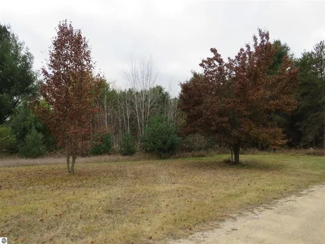 $239,900 | 651 North Michigan Avenue, Manton, MI 49663