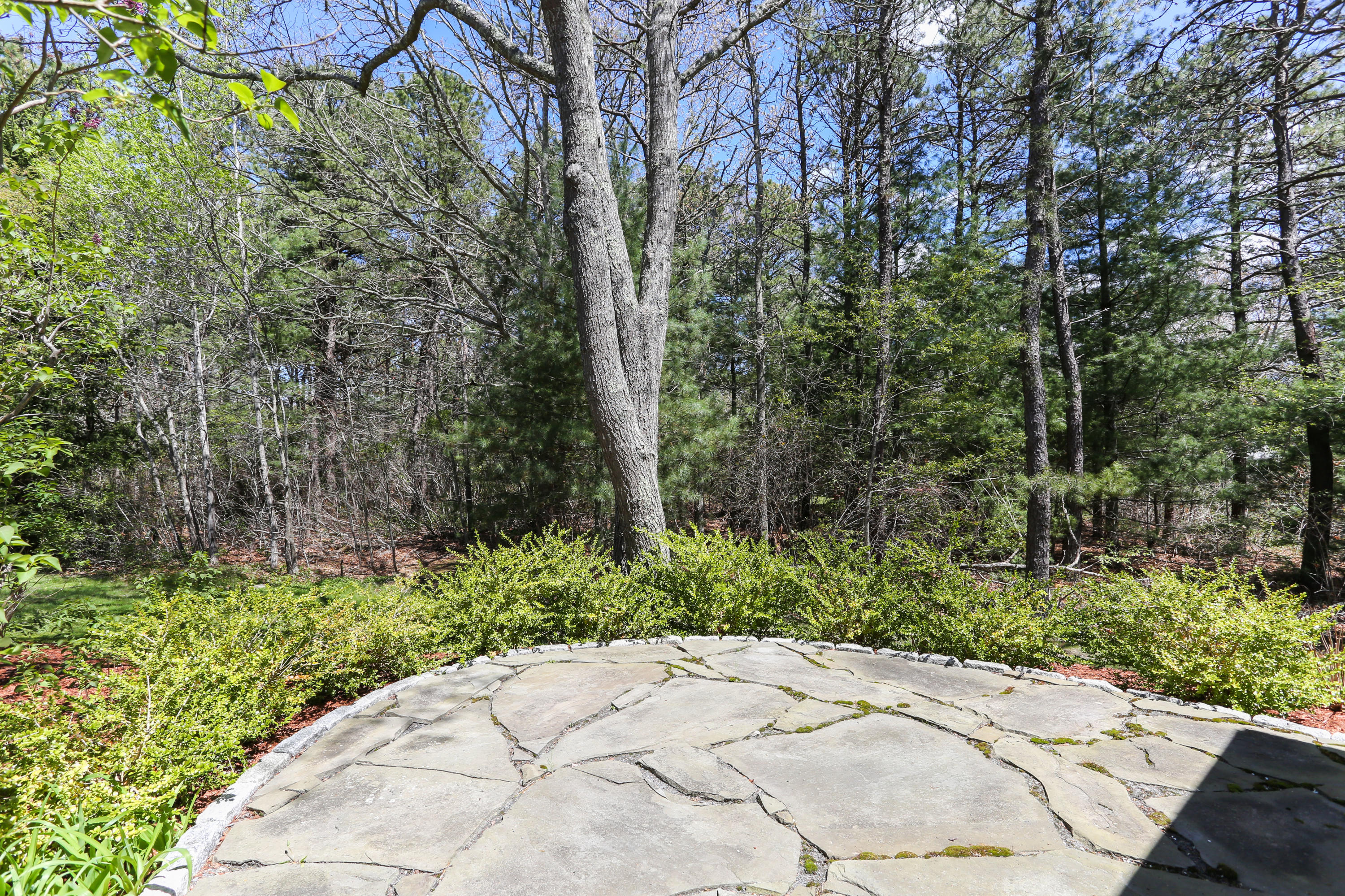 121 Old Barnstable Road Mashpee, MA 02649 - Photo 29 of 29 121OldLR-29