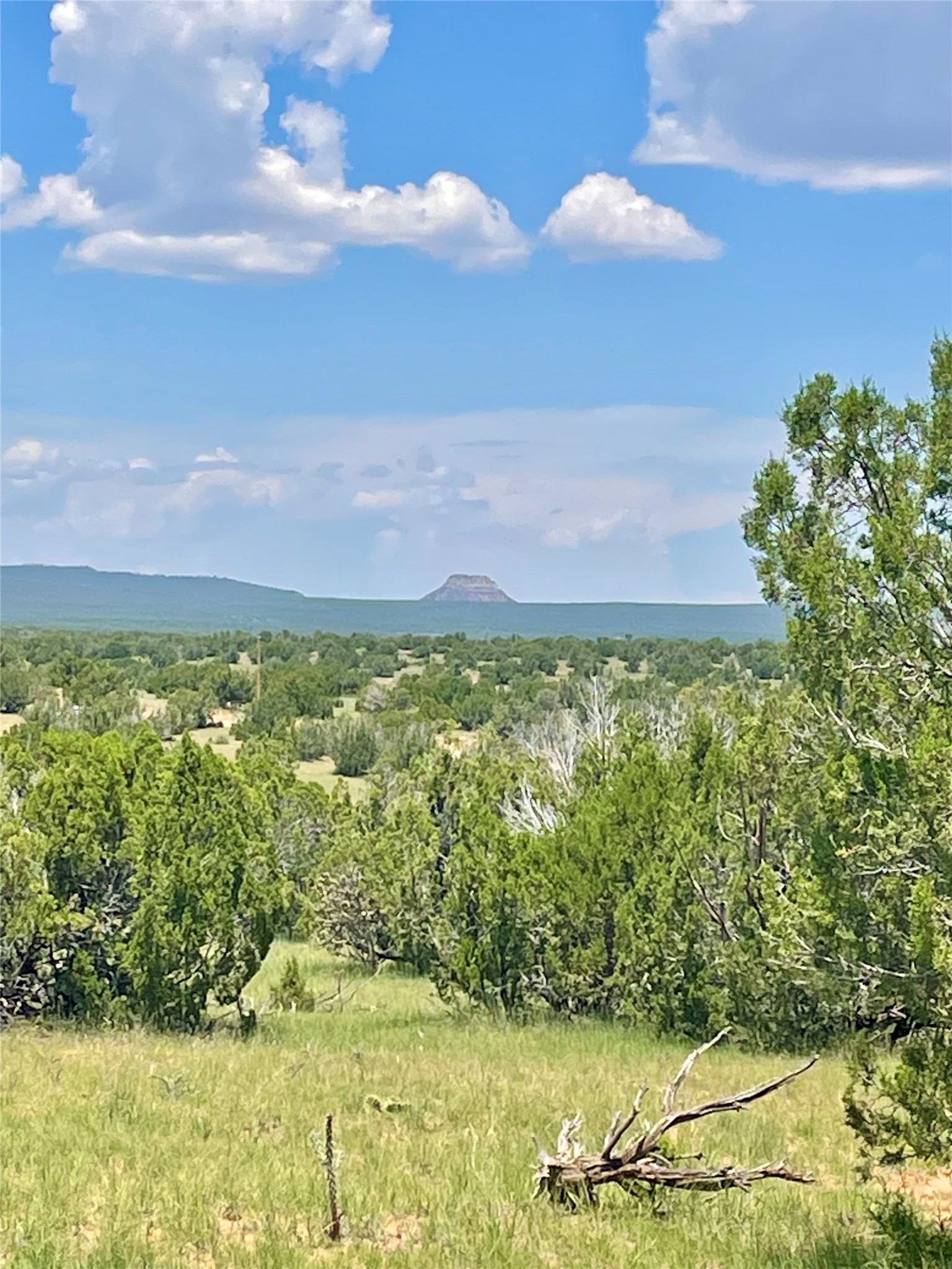 0 County Rd B29A Villanueva, NM 87583 - Photo 1 of 11 View of Starvation Peak