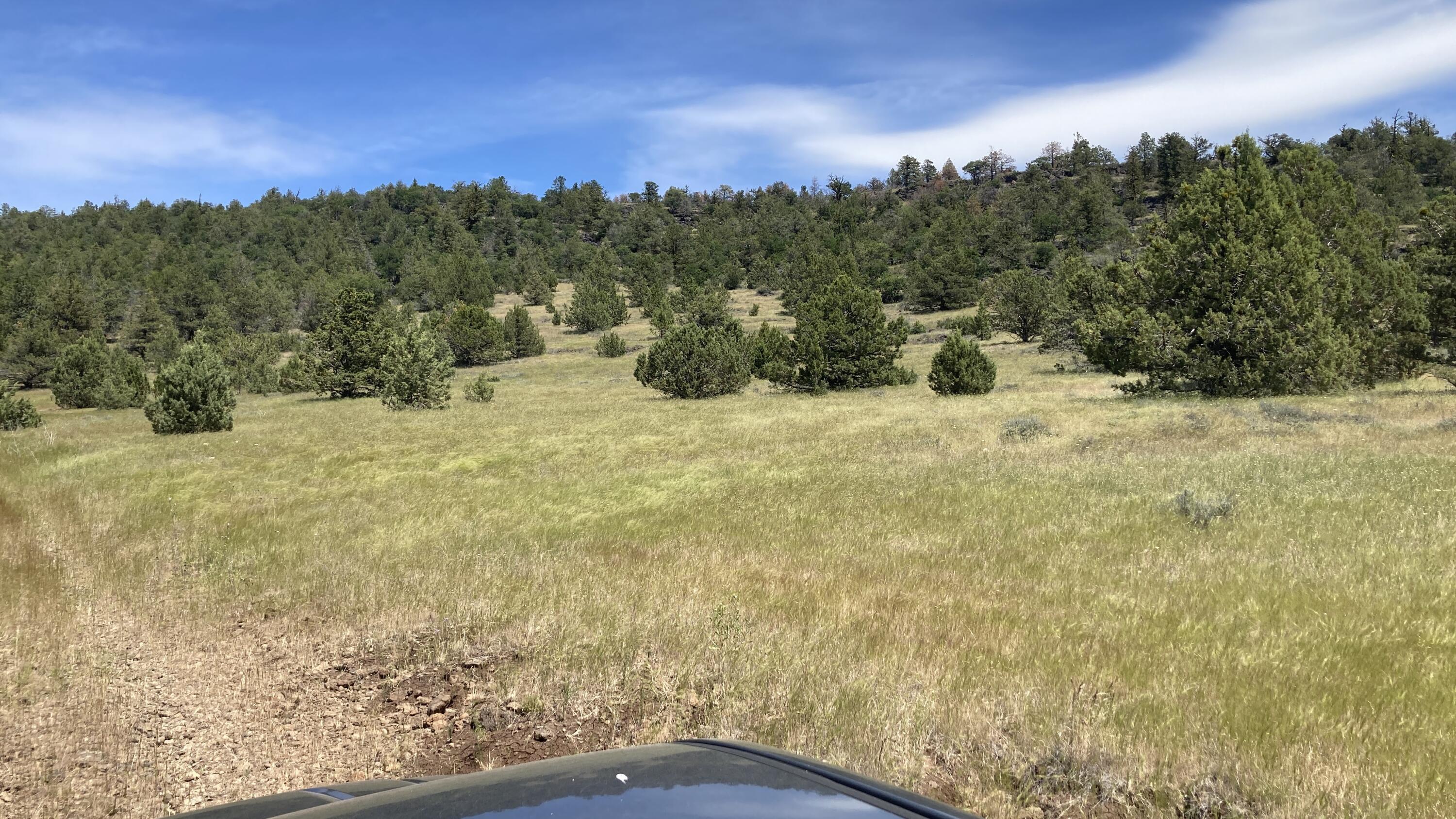 Nsa Loomis Cabin Road McArthur, CA 96056 - Photo 6 of 11 IMG_1702