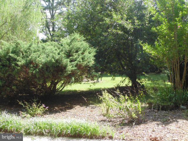 28075 Sunshine Road Ruther Glen, VA 22546 - Photo 3 of 25 Exterior (Rear)