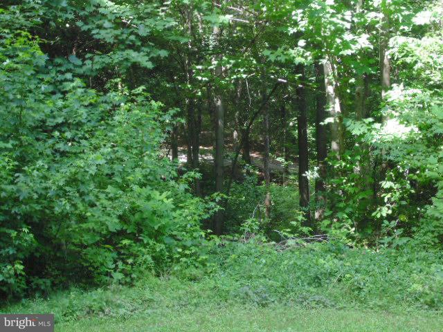 28075 Sunshine Road Ruther Glen, VA 22546 - Photo 23 of 25 Exterior (Rear)