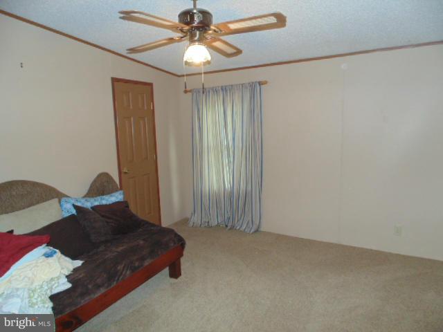 28075 Sunshine Road Ruther Glen, VA 22546 - Photo 10 of 25 Bedroom (Master)