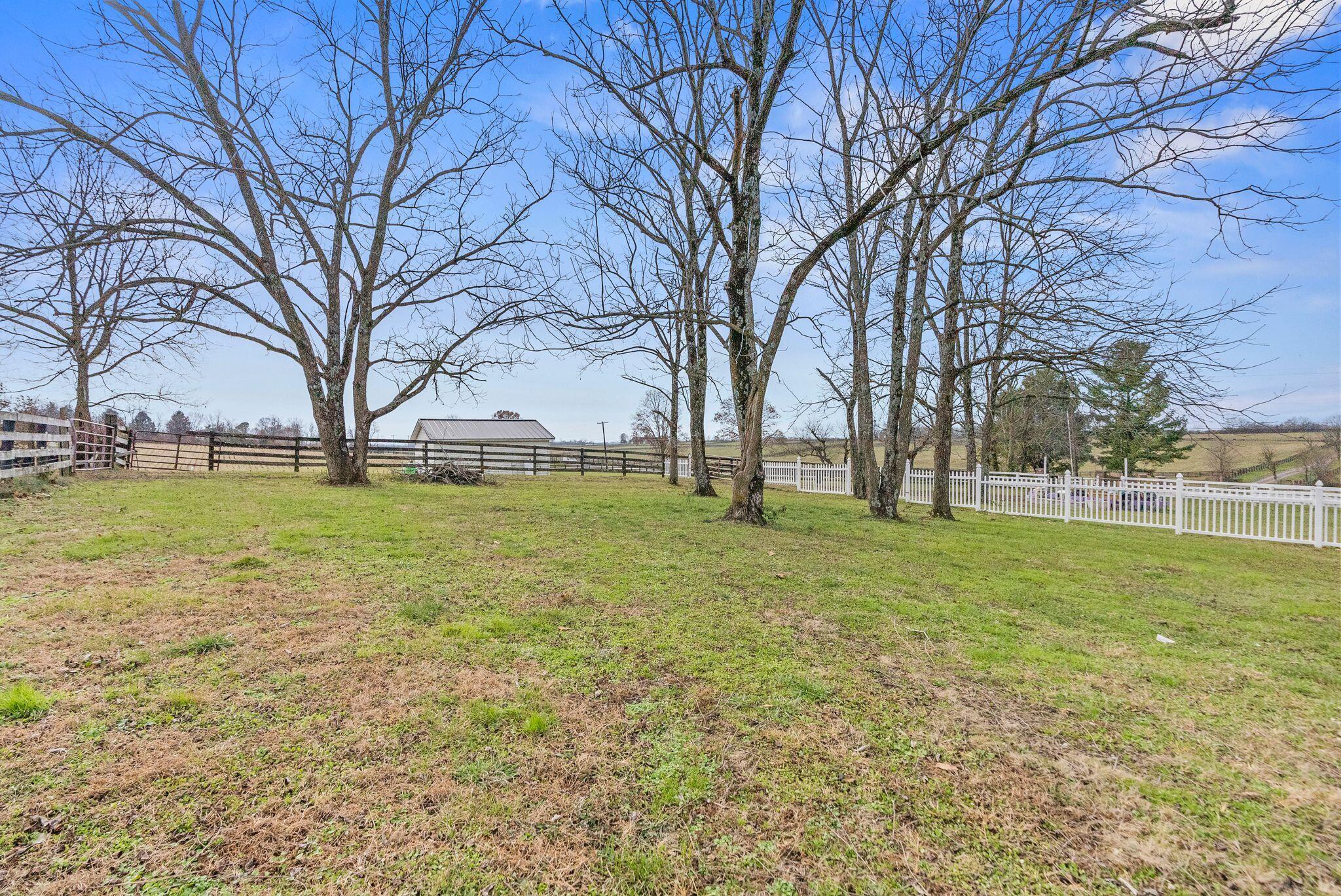 3520 Combs Ferry Road Lexington, KY 40509 - Photo 80 of 105 130_DSC04124
