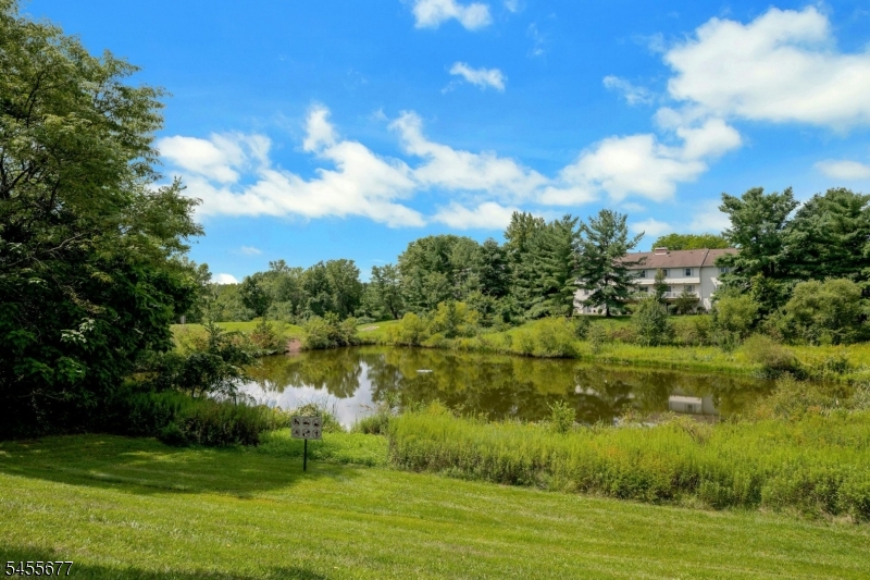 203 Alexandria Way Bernards, NJ 07920 - Photo 33 of 37 Gallery Image 33