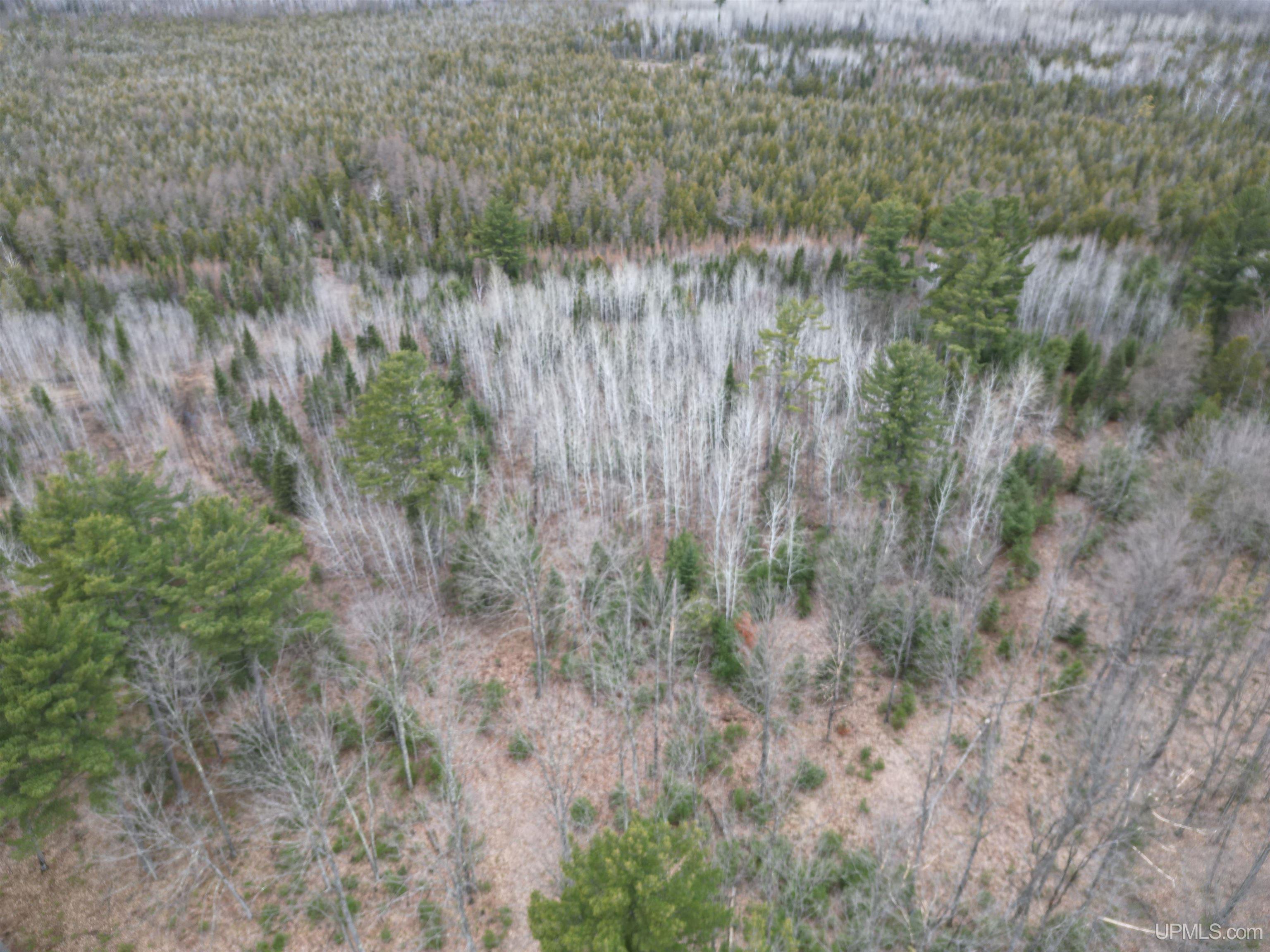 M69 Rd Perronville Mi 49873 Road Perronville, MI 49873 - Photo 31 of 41