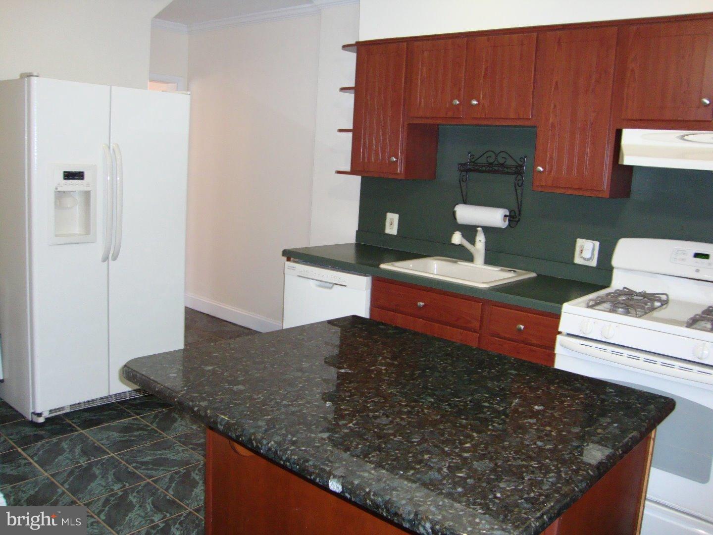 248 Ellis Road Willow Grove, PA 19090 - Photo 3 of 17 Kitchen