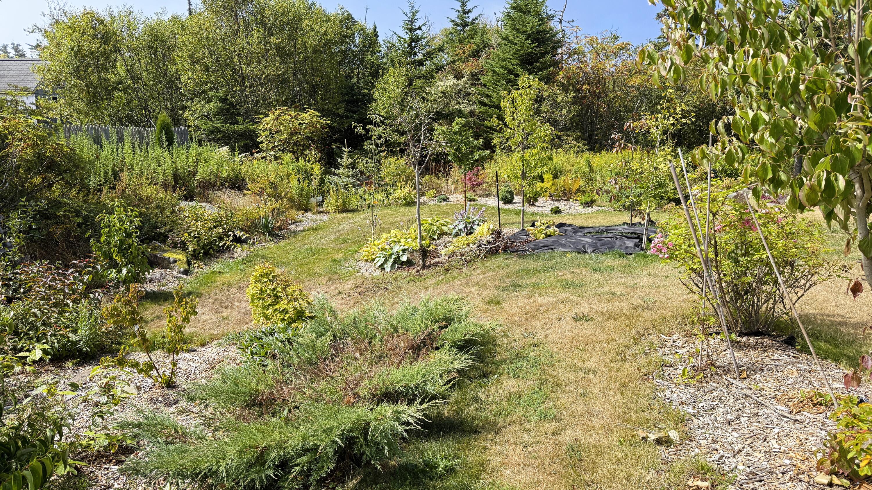 43 Carrying Place Cove Road Lubec, ME 04652 - Photo 13 of 49 IMG_3692