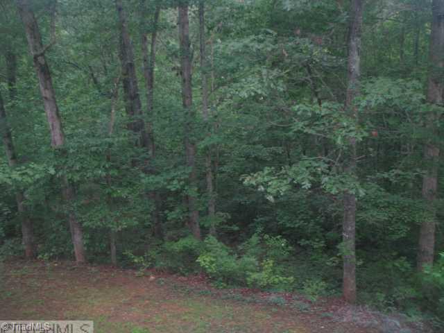 3241 Sheppard Mill Road Sandy Ridge, NC 27046 - Photo 16 of 16 Exterior Back. View off back deck.