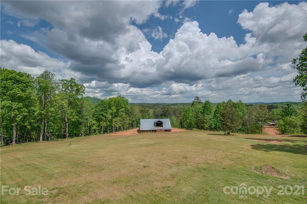 2310 Cove Road Rutherfordton, NC 28139 - Photo 3 of 40 a view of a big yard with plants and large trees