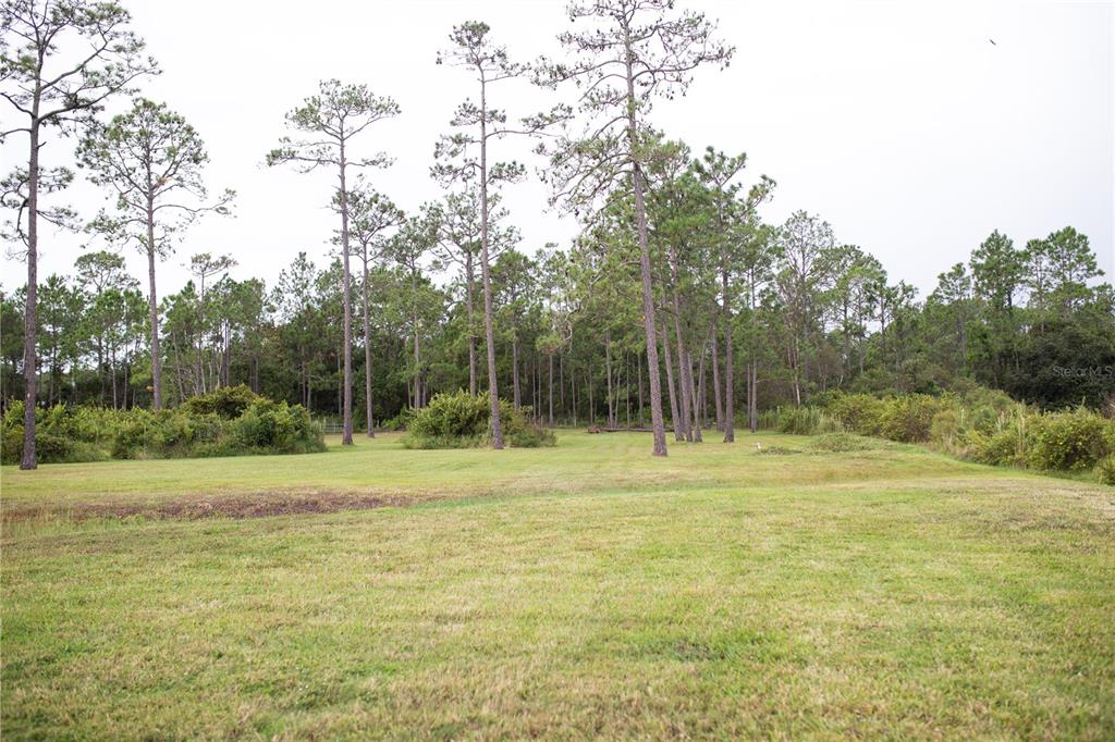 320 Rodeo Road Ormond Beach, FL 32174 - Photo 51 of 53 a view of outdoor space with trees all around