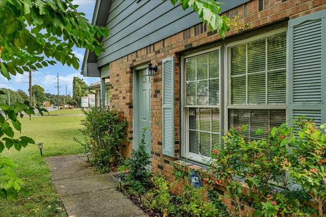 a view of a backyard with plants