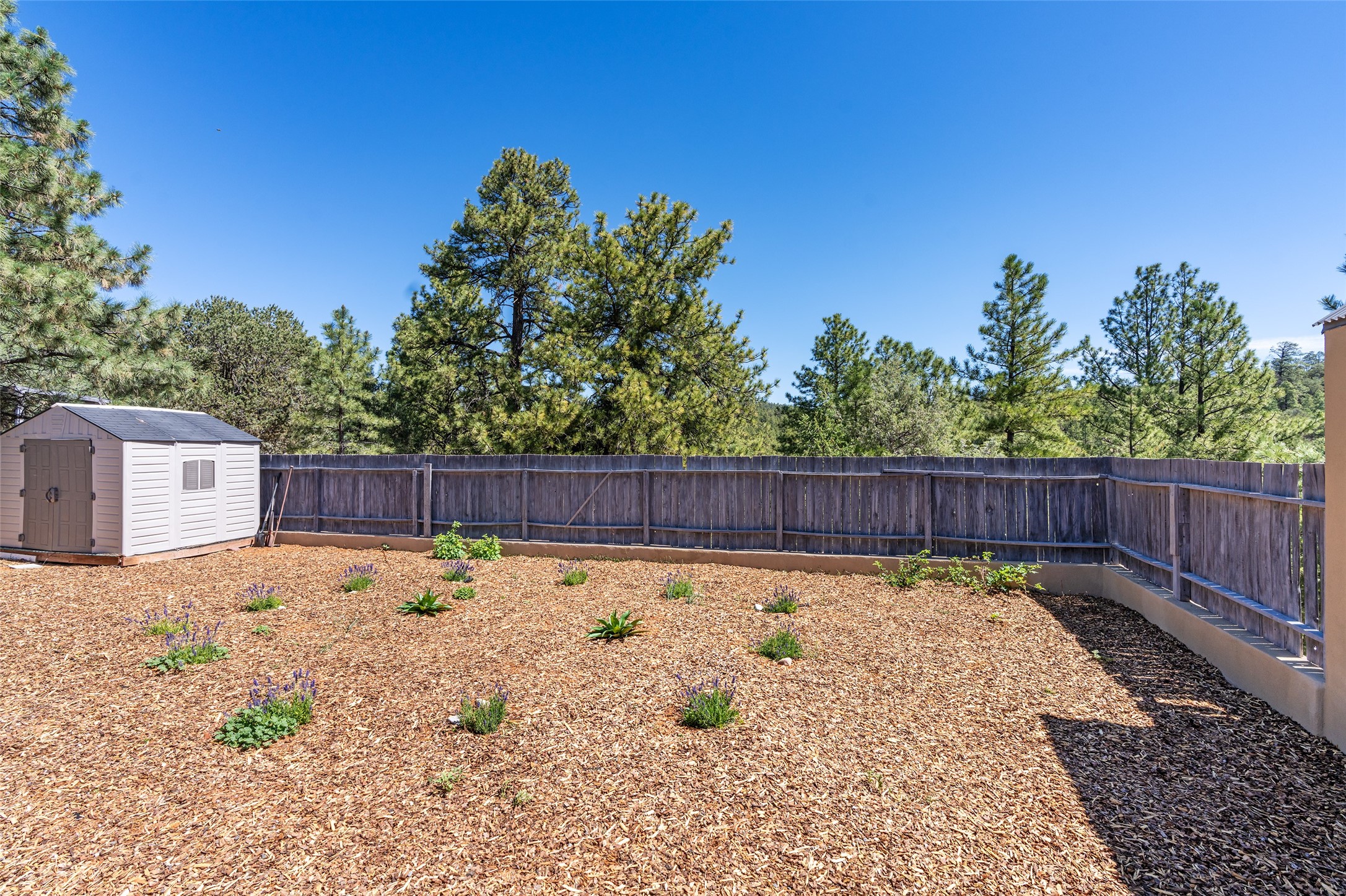 61 Ortiz Road Santa Fe, NM 87505 - Photo 25 of 88