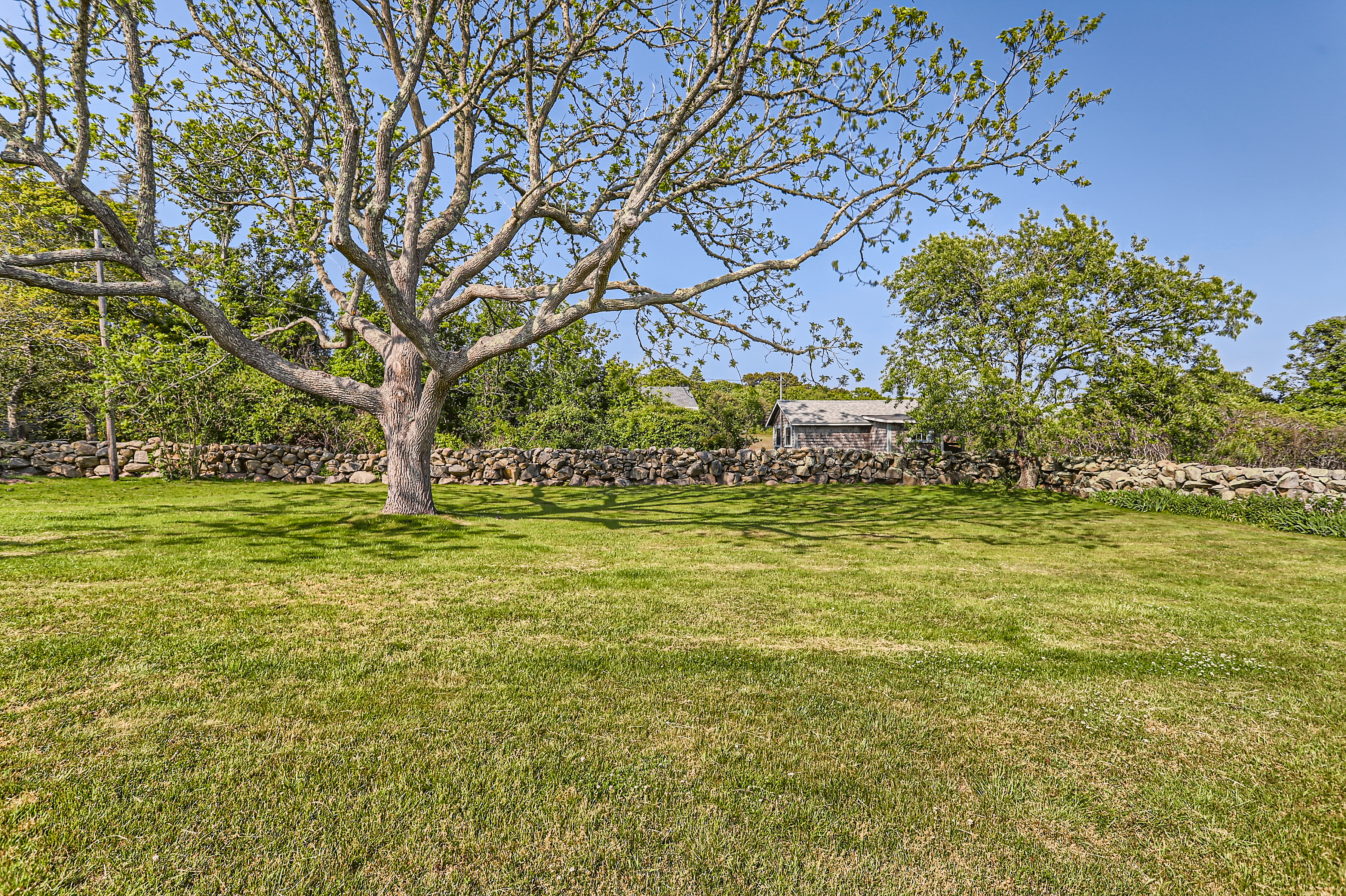 260 S Road Chilmark, MA 02535 - Photo 59 of 78 Gallery Image 59